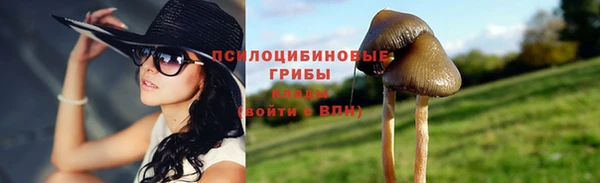 соль ск Богородицк