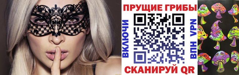 Псилоцибиновые грибы Cubensis  Верхний Уфалей 