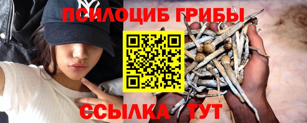 Псилоцибиновые грибы мухоморы  Вход с VPN  Галлюциногенные грибы ЛСД  Верхний Уфалей 