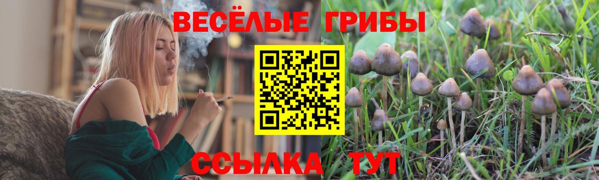 Галлюциногенные грибы MAGIC MUSHROOMS Верхний Уфалей