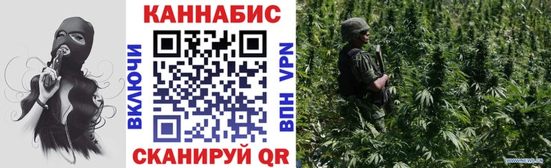 Бошки марихуана семена купить наркотики сайты mega зеркало Верхний Уфалей